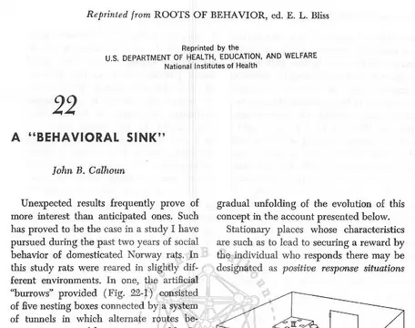 Behavioral Sinks in Domesticated Norway Rats